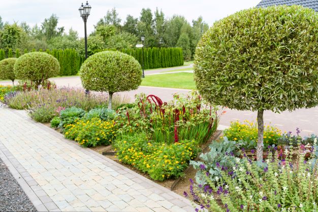What are the 5 basic elements of landscape design